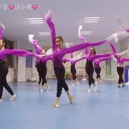 成人最新中国舞蹈视频,探索中国舞蹈艺术的魅力与传承