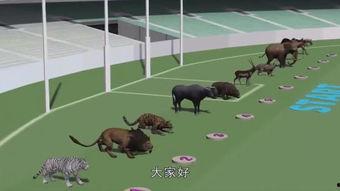 动物变成人类赛跑视频,一场跨越物种的极限竞技