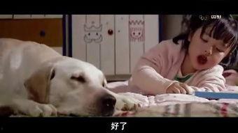 狗变成人的感人视频大全,感人至深的狗狗变人瞬间大盘点