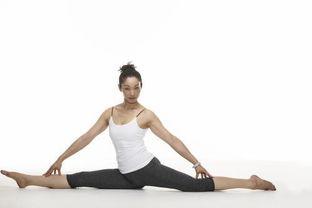 成人劈叉成功案例视频教程,成功案例视频教程解析